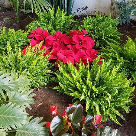 Daire Beachfront Center Marbella