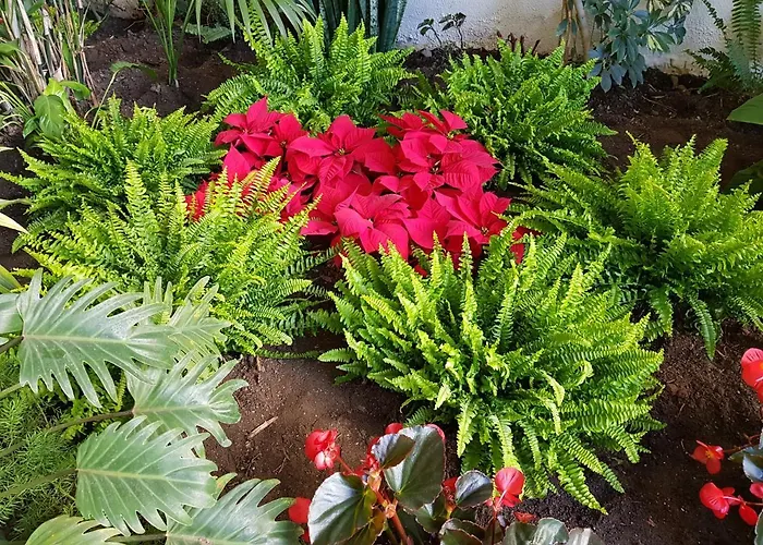 アパート Beachfront Center マルベーリャ